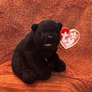Ty Beanie Babies - Cinders the Black Bear - Retired 2000 plush toy w/tags